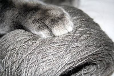 Rintalan tilan lankaa